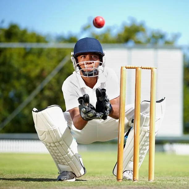 Sport imagery: cricket keeper